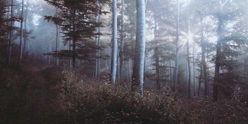 昆山包装行业人才困局:如何破解设计、印刷与工艺的复合型人才短缺?