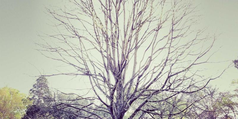 昆山危险品包装认证实战指南:从UN标准到海事运输,印刷与纸箱定制的合规关键